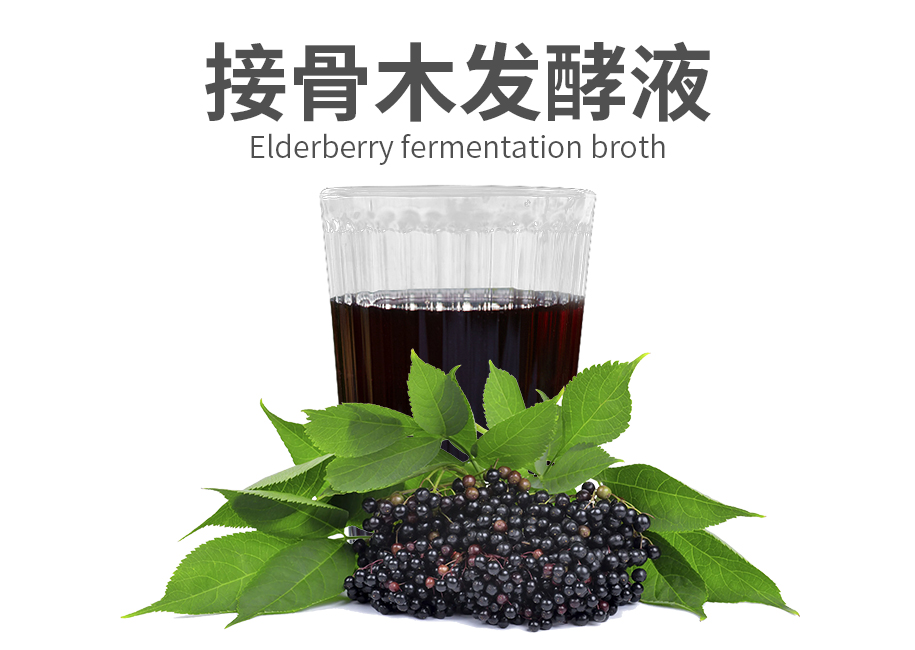 接骨木发酵液原料