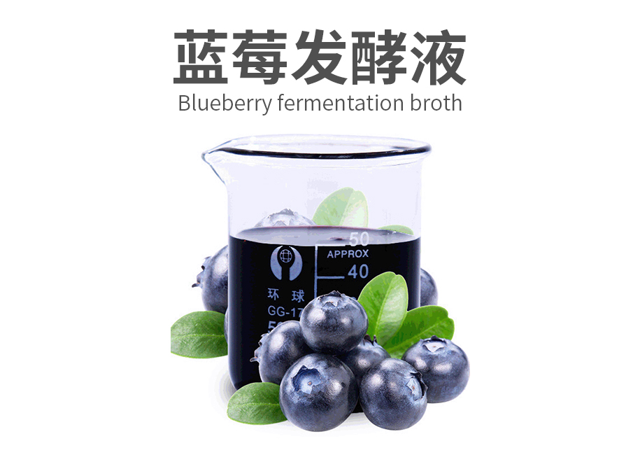 蓝莓发酵液原料