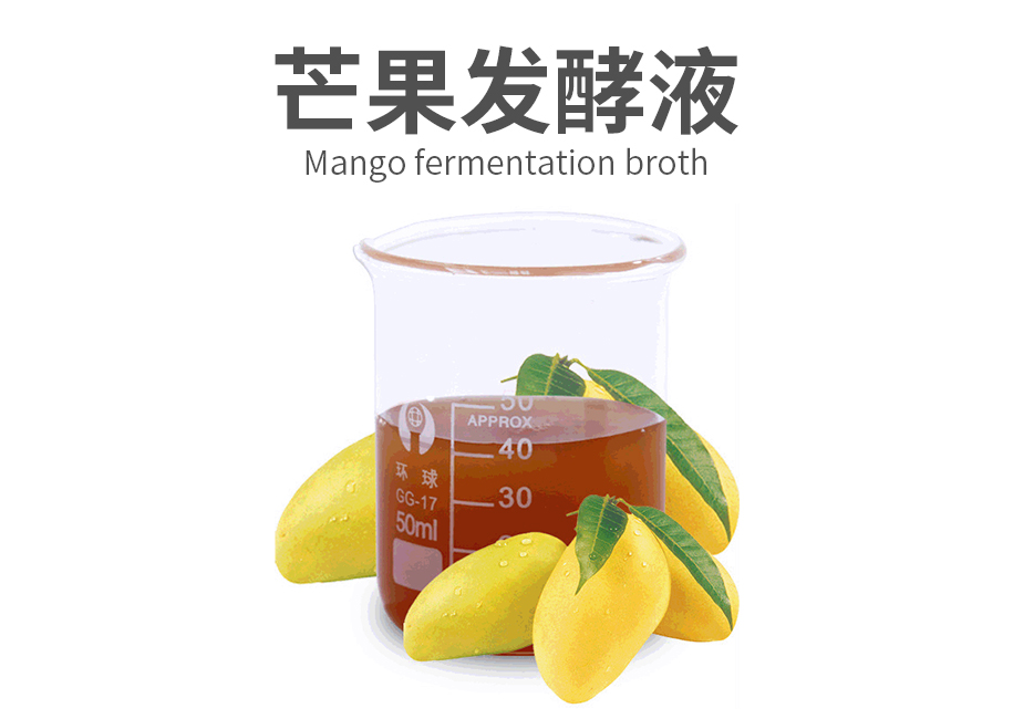 芒果发酵液原料