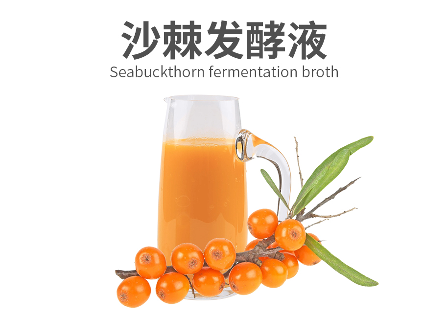 沙棘发酵液原料