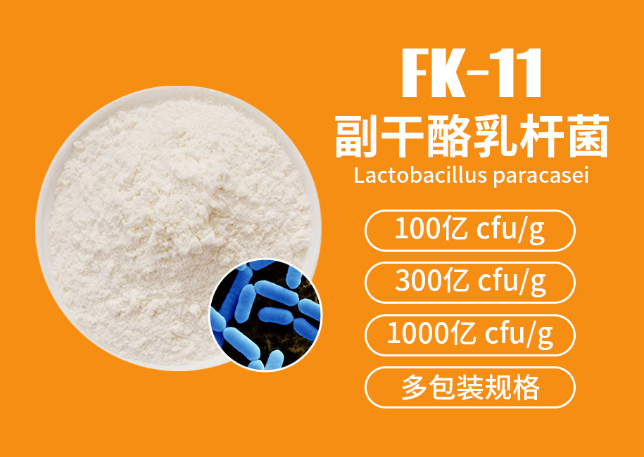 副干酪乳杆菌FK-11