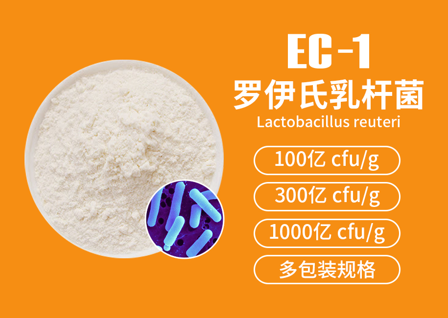 罗伊氏乳杆菌EC-1