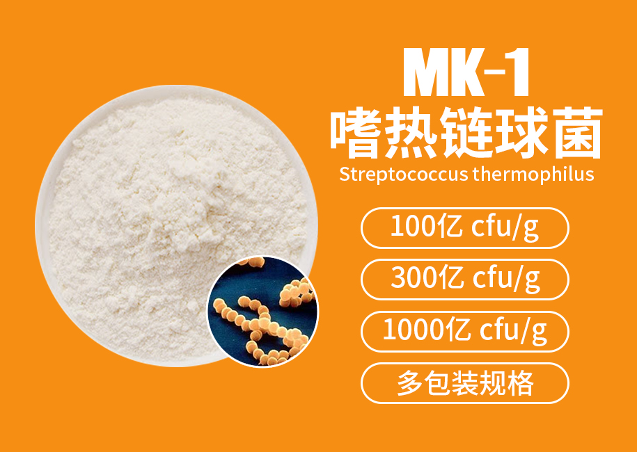 嗜热链球菌MK-1