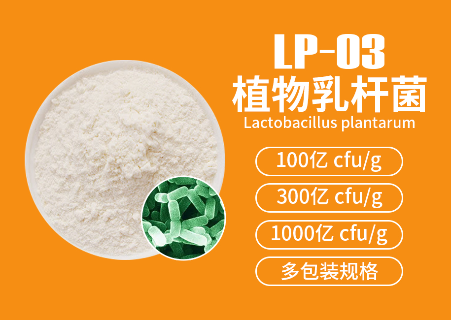 植物乳杆菌LP-03